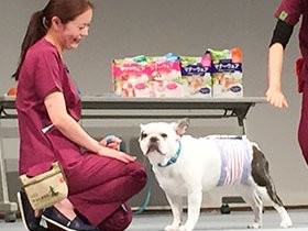 避難、入院…　子犬や子猫が環境変化に対応できるように教育を