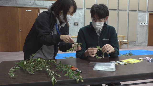 バレンタインデーを前に…オリーブのリース作り　香川・小豆島