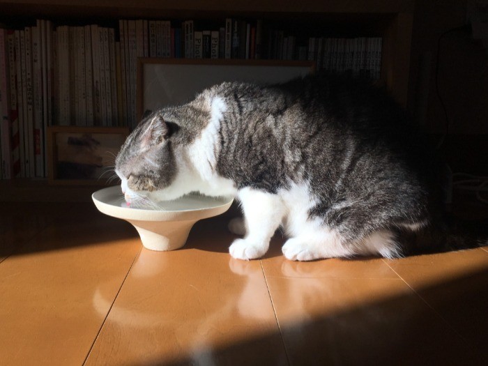 朝の一杯。飲みやすさがお気に入りポイント