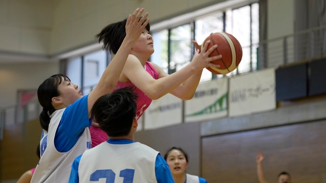 ミニドッグス―秋田ノーザンハピネッツ