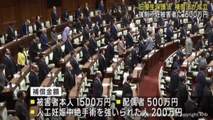 旧優生保護法をめぐる新たな補償法　参議院本会議で成立