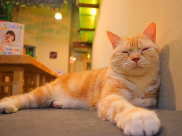 昨年まで店長だったＲ君。今はシェルターの自室で暮らす