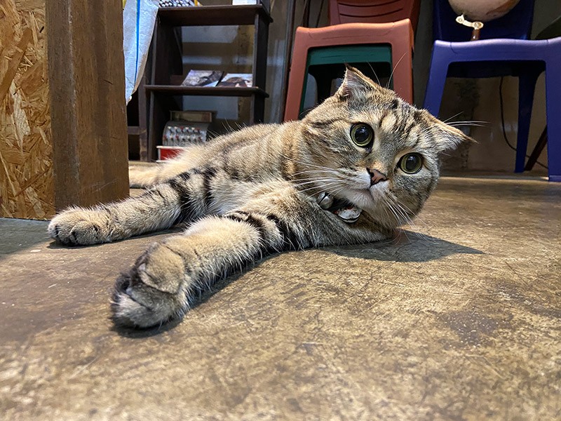 スタッフの愛情を受けてスクスク成長