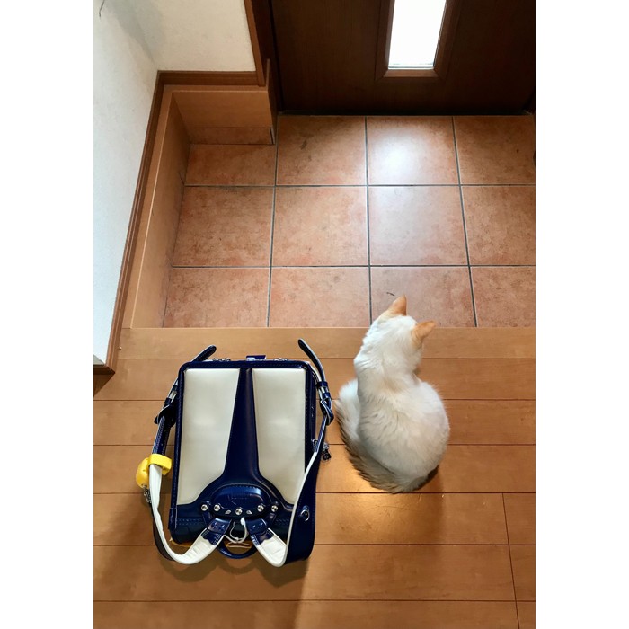 ペットスペースのランドセルにファンをつけて夏に猫の外出を