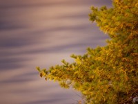 家族を愛していても、実家が息苦しい。その理由に気づいた