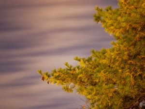 家族を愛していても、実家が息苦しい。その理由に気づいた