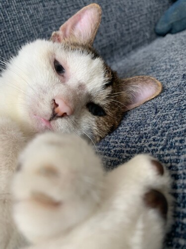 「この手を離さないで。みなで幸せになろうね」（千緒さん提供）