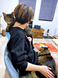 飼い主さんに抱っこされるおはぎちゃん、膝上にのるもなかちゃん（画像提供：おはぎともなかと時々オトンさん）