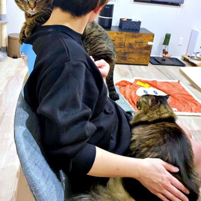 飼い主さんに抱っこされるおはぎちゃん、膝上にのるもなかちゃん（画像提供：おはぎともなかと時々オトンさん）