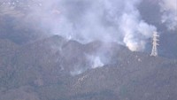山火事の現場　午前11時ごろ