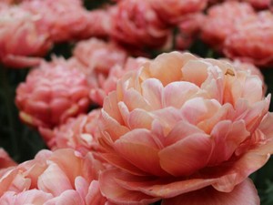 「それは繊細だからだよ」。不登校だった私に先生はさらっと言った