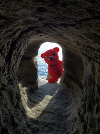 「み～つけた！」絶望の瞬間を切り取った１枚　公式Ｘ（＠chi_bakun_chiba）より