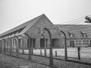 技術は差別と暴力にどう加担するのか　IBMとホロコーストの歴史を知る