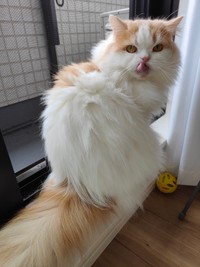 無造作ヘアでワイルド！