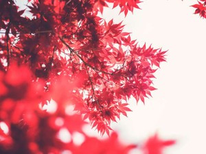 好き過ぎてセックスできないって何？　彼との思いがすれ違い