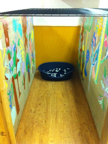 ケージ内には子供のお絵かき付きのベニヤを使った