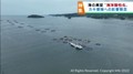 志津川湾で海水の調査