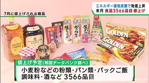 ７月の値上げ３５００品目超　２割が電気代上昇要因