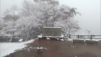 小豆島・寒霞渓で今年初の積雪　前日夜からの気温低下で一面冬景色に　香川