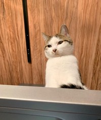 あたしは全部お見通しよ