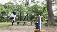 追いかけますが…。 ※人生いちかパチかさんのX動画より抜粋