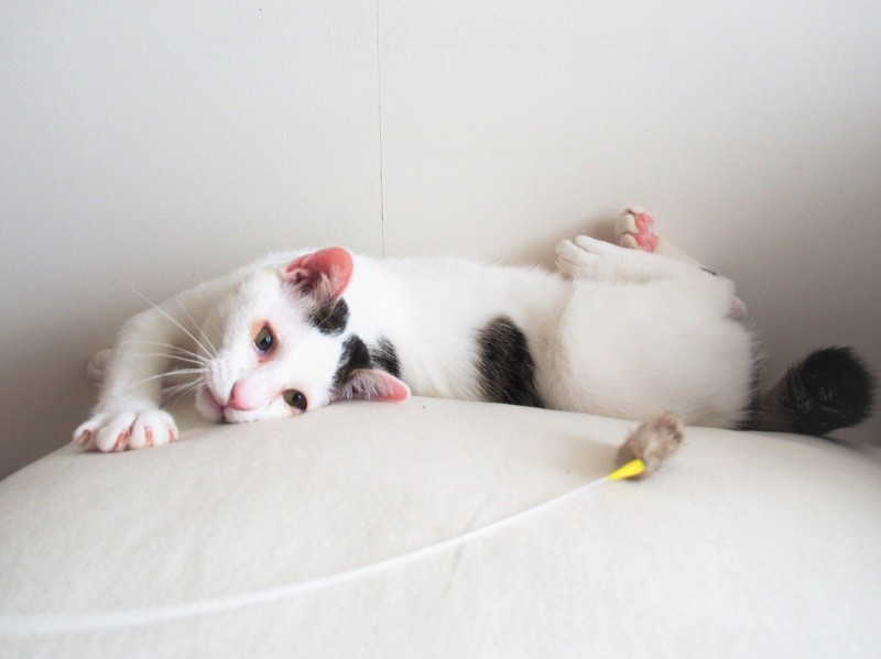 ちょっとひと休み