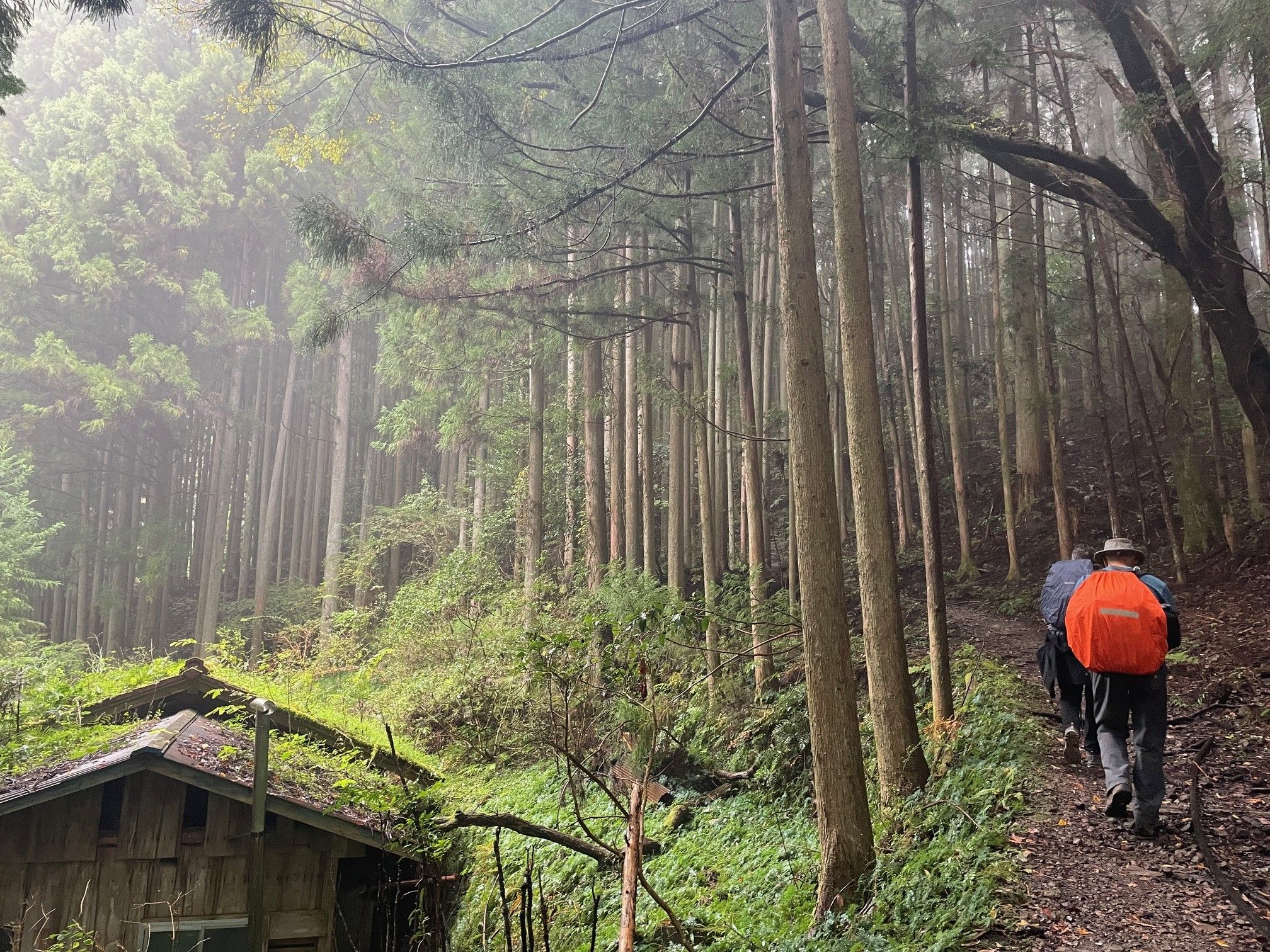 霧の立ちこめる中辺路を歩くブライアン・ホヤノさんとナンシーさん＝熊野古道、宮地ゆう撮影