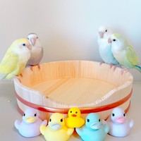 （提供:立花容器）