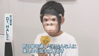 折り紙作家／Dr.HAL さん