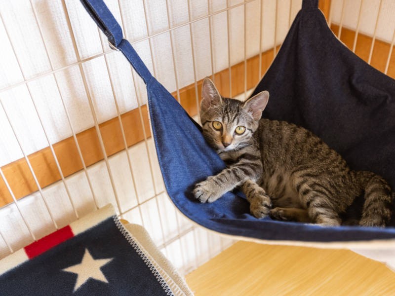 ゆっくりお休みなさい