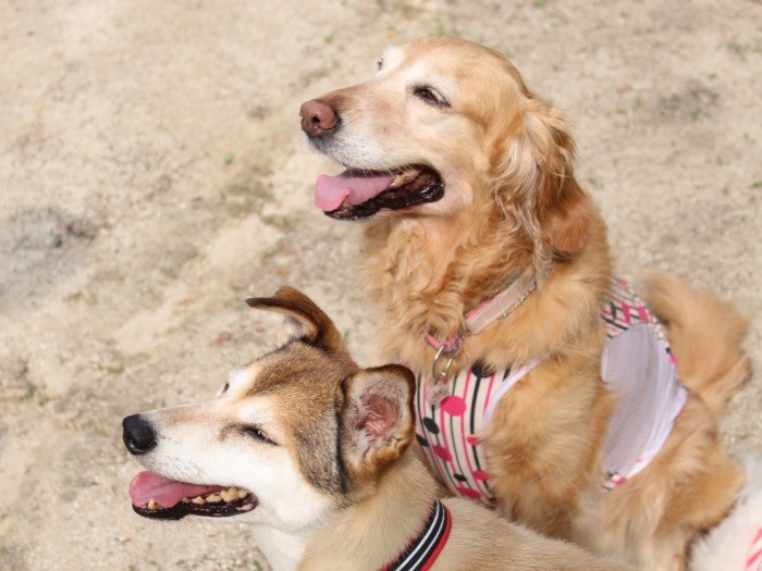 お友達と一緒に