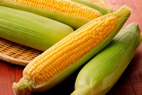 苦戦しがちな「とうもろこしのヒゲ」がスルッと！　※画像はイメージです（Nishihama:stock.adobe.com）