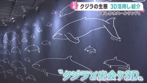 ３Ｄでクジラを観察　宮城・おしかホエールランドで新たな展示