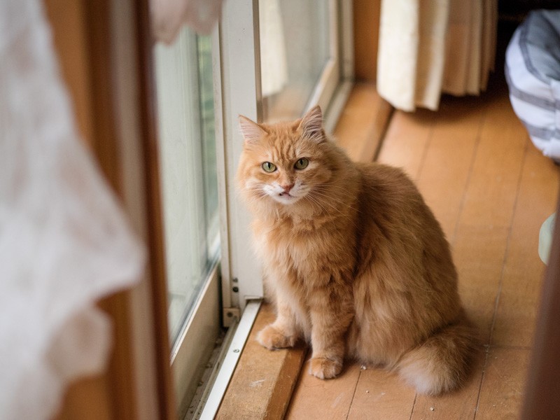 「こんな感じのポーズでいいかしら」（小林写函撮影）