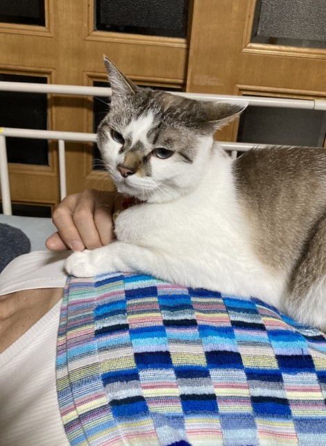 旦那さんに甘えて大満足