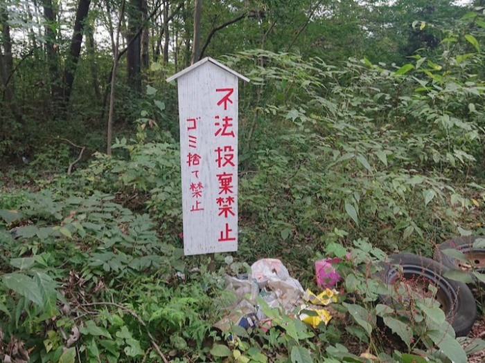 不法投棄禁止の林に、ぷぅーはゴミのように捨てられていた（ねこかつブログより）