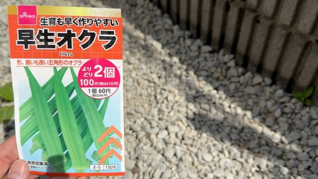種はDAISOで購入（みかんぼーやさんXより）