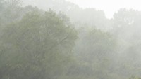 GW中に春の嵐…1日は大気が不安定　ひょう混じりの激しい雨のところも　岡山