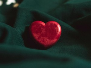 あの日話しかけてくれた卒業生との出会いは、私の人生の財産になった