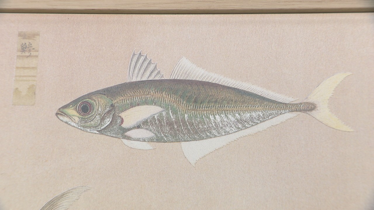 ☆大型本 衆鱗図 研究編 高松松平家所蔵 香川県歴史博物館 平成17年11