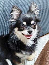 にっこり笑顔がキュートなみつ子ちゃん（画像提供：今日のぶんたとみつ子さん）