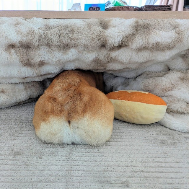 モフモフのお尻も、抜け毛がすごそう