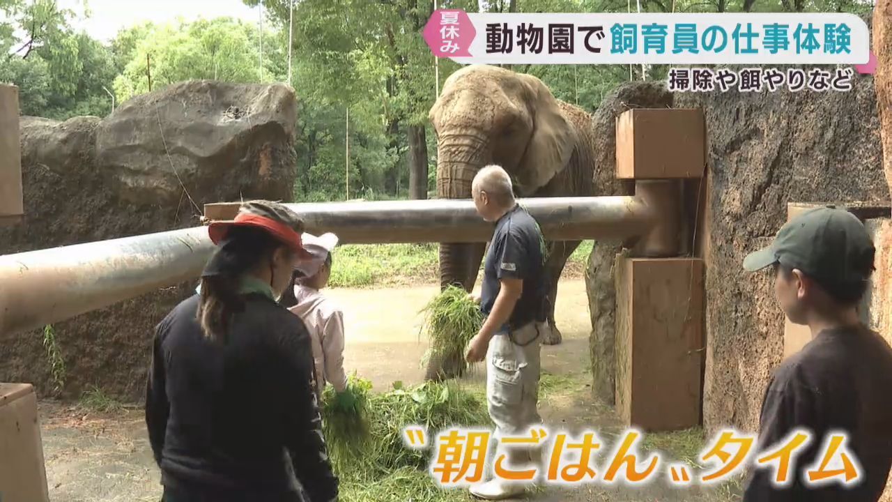 子どもたちが飼育員体験　仙台・八木山動物公園でサマースクール