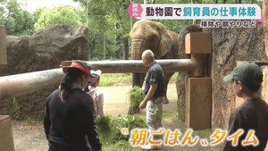 子どもたちが飼育員体験　仙台・八木山動物公園でサマースクール