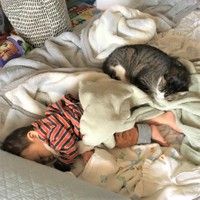 お子さんの見守りもバッチリなニャン太くん