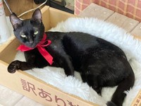 5歳を迎えたジジちゃん（画像提供：なちゅふぉとさん）