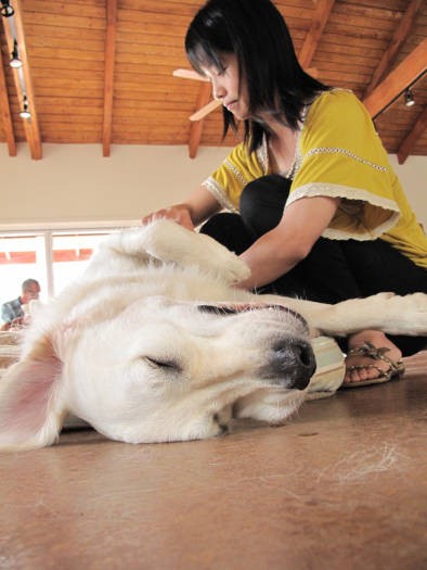 ブラッシング中。「あーそこそこ、そこ最高～」