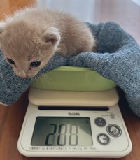 保護時より現在は体重が増えたという（湯楽めぐりさん提供）