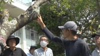 クビアカツヤカミキリの被害防止へ　防除活動　香川・小豆島町