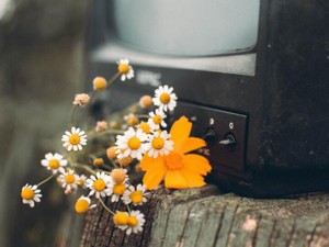 「結婚とか考えたことない」。唐突な彼の宣告に「はぁ」とまぬけな返事をした